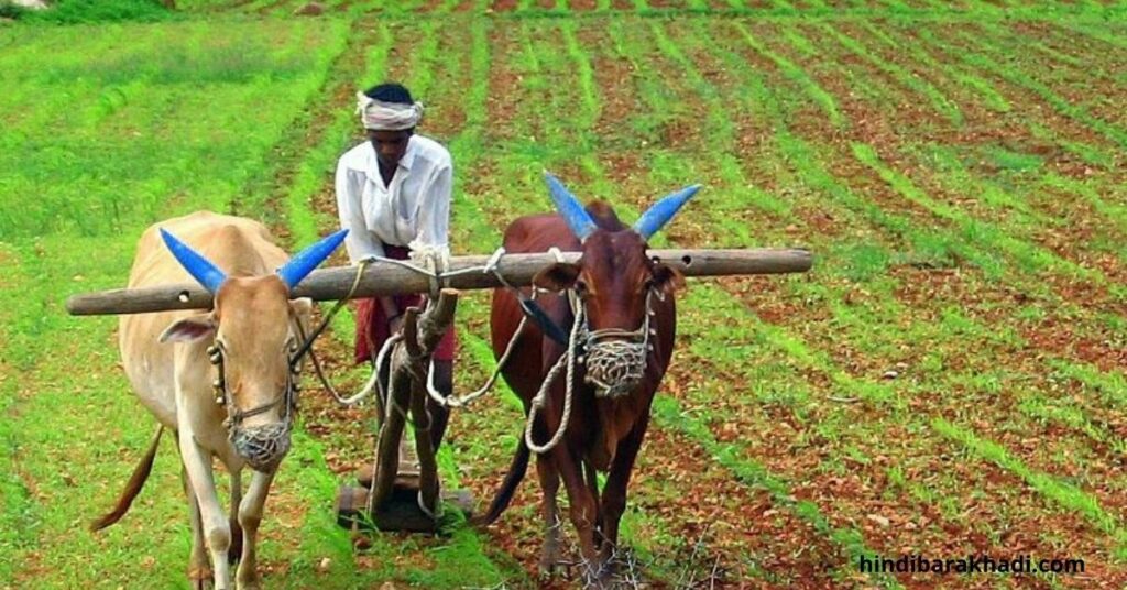 Essay on Autobiography of Farmer in Hindi(किसान की आत्मकथा पर निबंध)